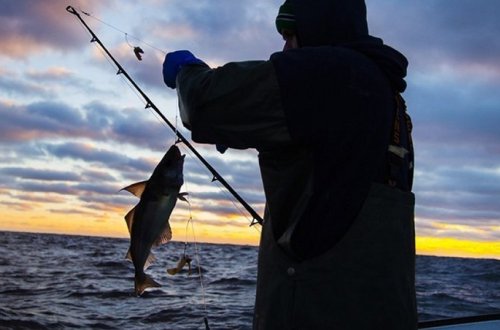 Qanunsuz balıq ovlayan şəxslər saxlanılıb