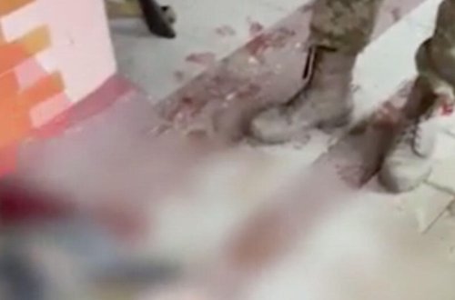 Kiyev yaxınlığındakı məktəbdə atışma - VİDEO