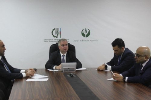 Baytarlıq sahəsində görülmüş işlərlə bağlı onlayn görüş keçirilib