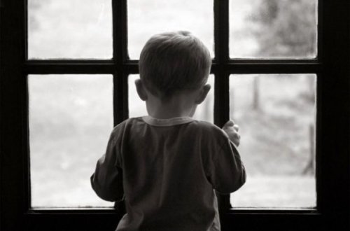 Трехлетний ребенок выжил после падения с 11 этажа