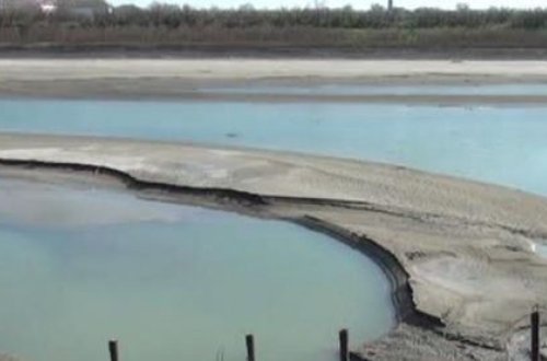 Xəzərin suyu Kürə qarışıb, ekoloji problemlər yaranıb