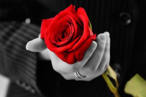 Bu gün 8 Mart - Beynəlxalq Qadınlar Günüdür