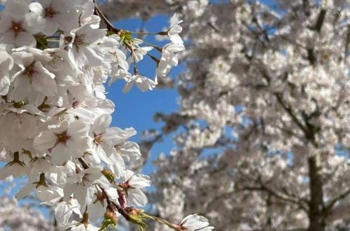 Bu gün Yel çərşənbəsidir