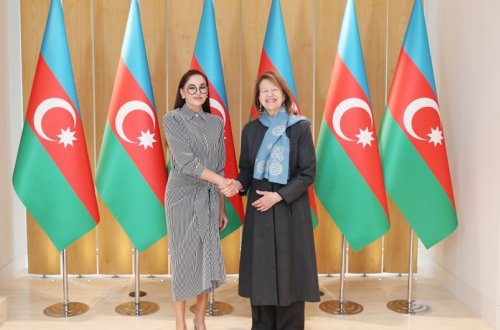 Birinci vitse-prezident Britaniya Baş nazirinin ticarət elçisi ilə görüşüb