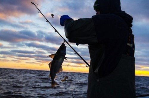 Qanunsuz ov edən daha 3 nəfər cəzalandırıldı