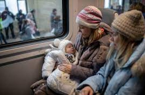 BMT: Ukraynada 977 mülki şəxs həlak olub, 1 600-yə yaxın insan yaralanıb