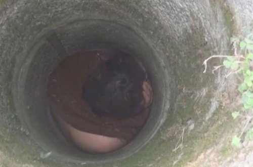 Мужчина на два дня застрял в ливневой канализации