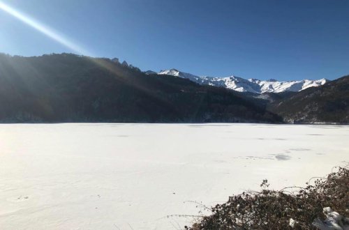 Göygöl donub - FOTOlar