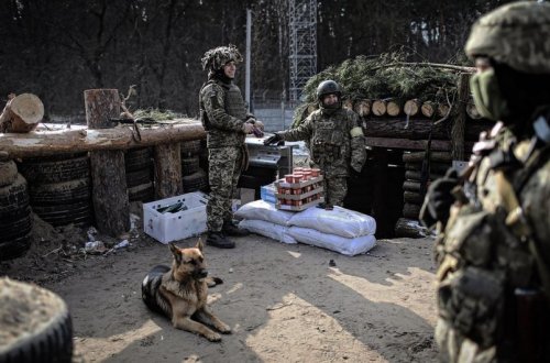 Ukrayna ordusu yaşayış məntəqəsini azad edib