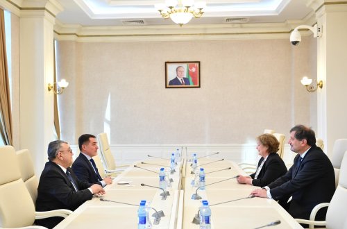 Əli Hüseynli Bolqarıstan parlamentinin sədr müavini xanım Mukaddes Nalbant ilə görüşüb