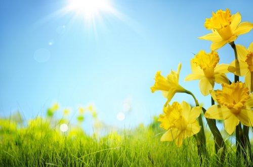 Sabah rayonlarda havanın temperaturu 31 dərəcəyədək artacaq