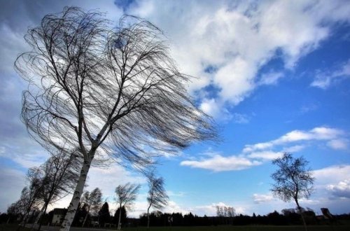 Sabah Bakıda güclü külək əsəcək