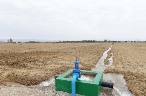 Bələdiyyə torpaqlarından sui-istifadə hallarının məhdudlaşdırılması ilə bağlı hökumətə tapşırıqlar verilib
