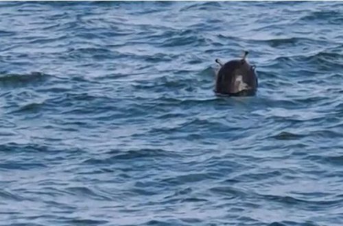 Türkiyə Qara dənizdə daha bir mina tapdı