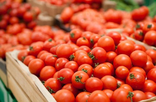 Azərbaycandan göndərilən 432 tondan çox pomidor Rusiyaya buraxılmayıb