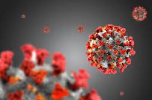 Belçikada koronavirusun yeni ştamı aşkarlanıb