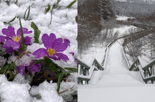 Yazın ortasında Türkiyəyə qar yağdı: Möhtəşəm mənzərələr - FOTO