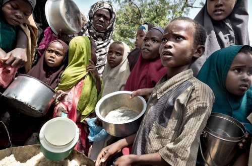 Beynəlxalq təşkilatlar aclığın qarşısını almaq üçün təcili tədbirlər görməyə çağırıb