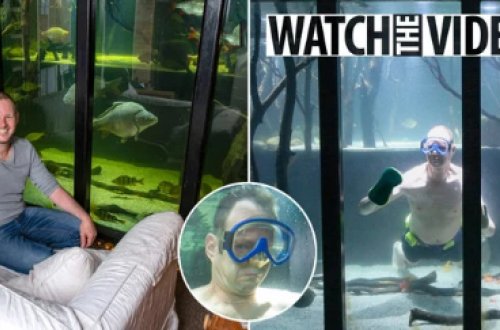 Televizordan imtina etdi və 45 min manat xərcləyib zirzəmisini nəhəng akvariuma çevirdi - FOTO-VİDEO
