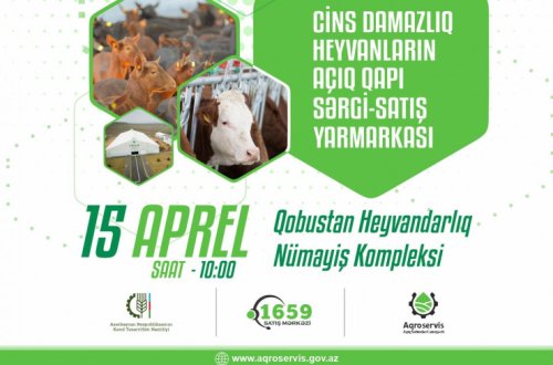 Qobustan Heyvandarlıq Nümayiş Kompleksində növbəti dəfə “Açıq qapı sərgi-satış yarmarkası” keçiriləcək