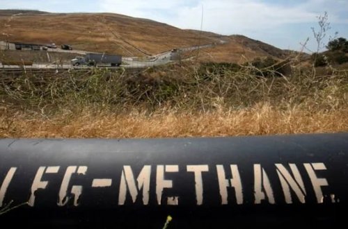 Metanı elektrikə çevirən mikroblar kəşf edildi