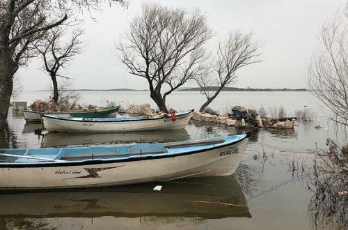 Uluabat gölü çürüyür