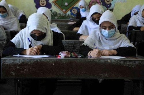 “Taliban” cinsi meyar üzrə dərs həftəsini yarıya böldü