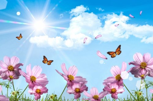 Sabah havanın temperaturu 29 dərəcəyədək artacaq