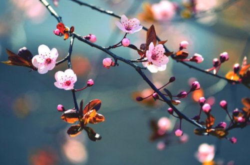 Sabahın hava proqnozu AÇIQLANDI