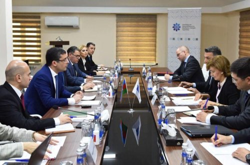 MEDİA-da ATƏT-in media azadlığı üzrə nümayəndəsi Teresa Ribeiro ilə görüş keçirilib