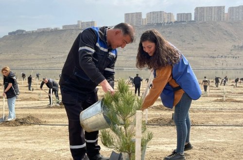 30-летие дипотношений между Азербайджаном и Пакистаном отметили акцией по посадке деревьев