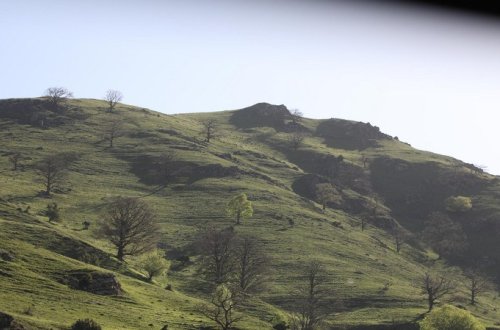 Qarabağda 9 kənd və qəsəbədə yaşayış məntəqələrinin salınmasına başlanılır