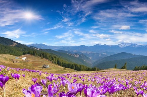 Aprel ayının son gününə olan hava proqnozu açıqlanıb