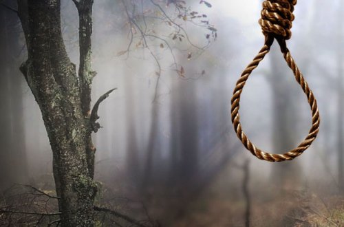 Salyanda kişi özünü əncir ağacından asdı