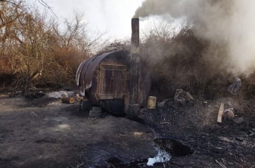 Meşə ərazilərində aşkarlanan qanunsuz ocaqxanaların sayı açıqlanıb