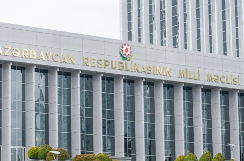 İnsan alverinə qarşı mübarizə üzrə illik məlumat MM-in plenar iclasına tövsiyə edilib - YENİLƏNİB