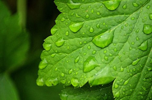 Sabahın hava proqnozu AÇIQLANDI