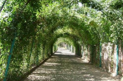 Bakının məşhur bağına 25 milyon manat ayrıldı - SƏRƏNCAM