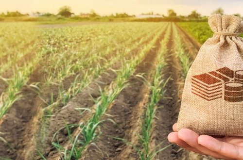 “Digital Agro” sayəsində kənd təsərrüfatının monitorinqi təkmilləşdirilib