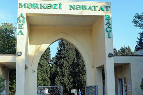 Nəbatat Bağındakı qanunsuz tikililər sökülür