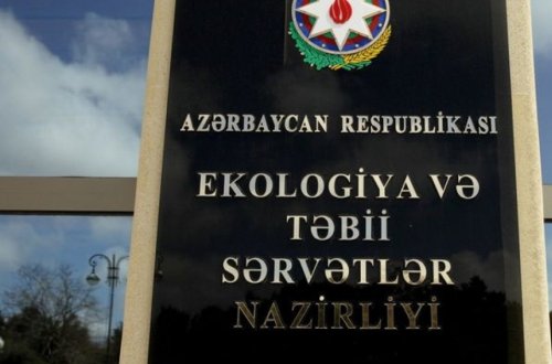 ETSN: Heyvanlara işgəncə ilə bağlı qanunvericilikdə ciddi boşluqlar var