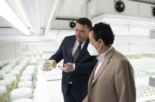 FAO-nun Baş direktoru Tərəvəzçilik Elmi -Tədqiqat İnstitutunun fəaliyyəti ilə tanış olub