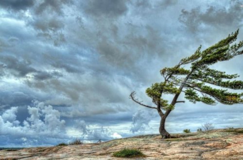 Külək bu gün zəifləyəcək, yağıntılı hava davam edəcək