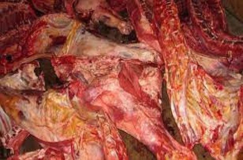 Avtomobildə 120 kq mənşəyi məlum olmayan ət aşkarlanıb