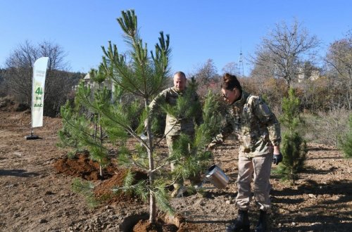 Prezident və birinci xanım Füzulidə yeni yaradılacaq mərkəzi parkın ərazisində ağac əkiblər