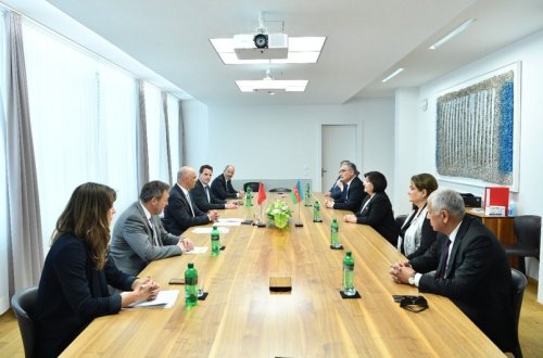 Sahibə Qafarova İsveçrənin vitse-prezidenti ilə görüşüb