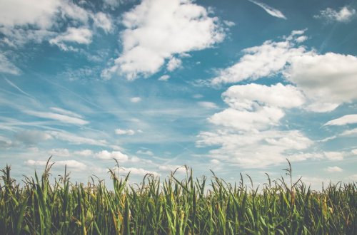 Sabaha gözlənilən hava şəraiti açıqlanıb