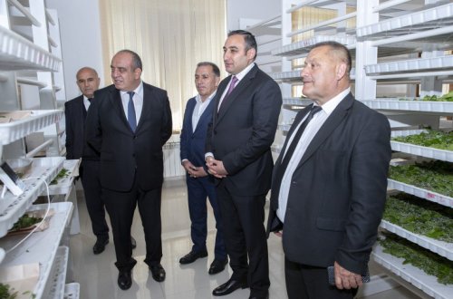 Respublika üzrə kümçülərə ipəkqurdu toxumunun paylanması başa çatıb