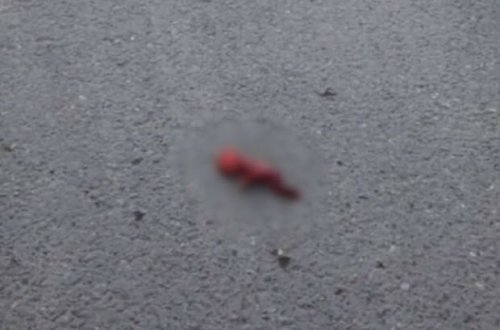 ​Ölmüş dölü bağ evinin həyətinə atan qadın saxlanıldı