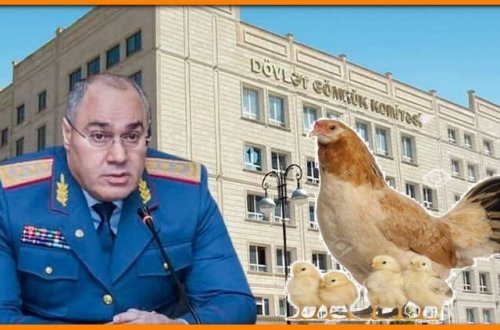 Quş əti və yumurta istehsalçıları Dövlət Gömrük Komitəsilə PROBLEM YAŞAYIRLAR